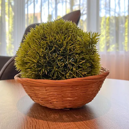 Residenz Seestern 02 *