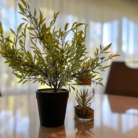 Residenz Seestern 02 * Boltenhagen (Ostseebad)