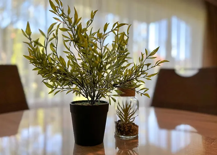 Residenz Seestern 02 * Boltenhagen (Ostseebad)